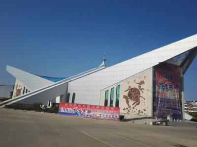 艺彩PA视讯在线官网瓷砖粘结剂优秀案例之：齐齐哈尔波司登体育馆