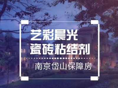 艺彩PA视讯在线官网瓷砖粘结剂优秀案例：南京岱山保障房公共部位翻新