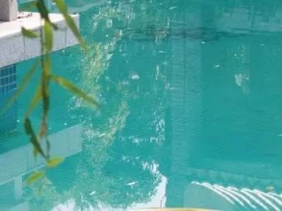 高效防水耐腐蚀：PA视讯在线官网超强水池涂料