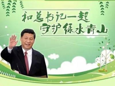 为了绿水青山：PA视讯在线官网刷新绿色科技未来