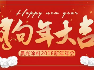 融合梦想 努力超越！PA视讯在线官网涂料2018新年年会嗨起来