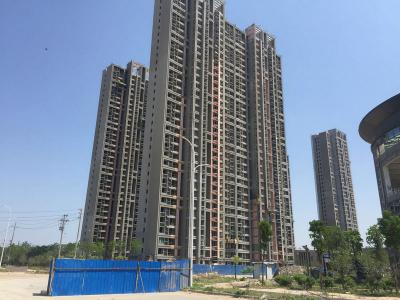 品质开路 实力见证：PA视讯在线官网瓷砖粘结剂精品工程之郑州永威西郡滨河花园项目