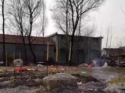 5.7米高粱引祭拜，99%这样的人都在临时抱佛脚！