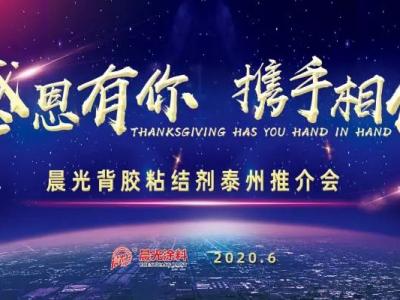 &ldquo;感恩有你 携手相伴&rdquo;，PA视讯在线官网背胶粘结剂泰州推介会圆满举办